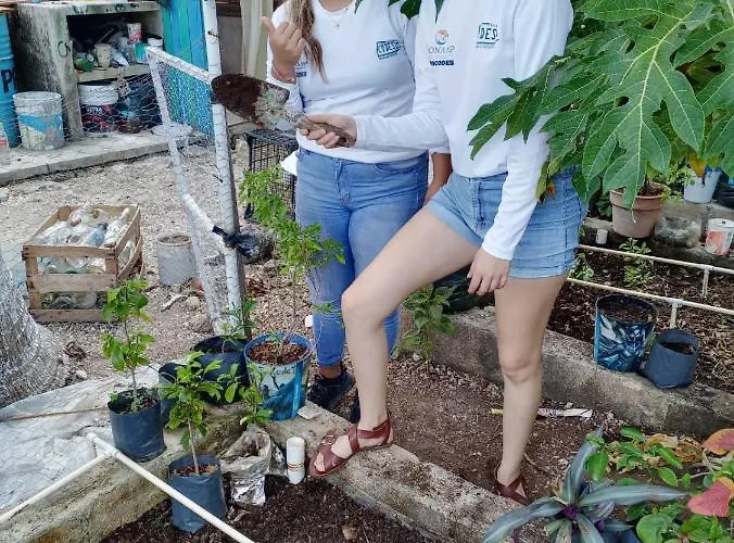 Sustainable Cabain * Cozumel